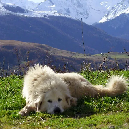 Holiday home Geteu Laruns