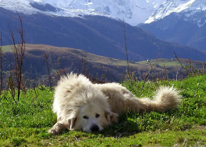 Feriehus Geteu Laruns